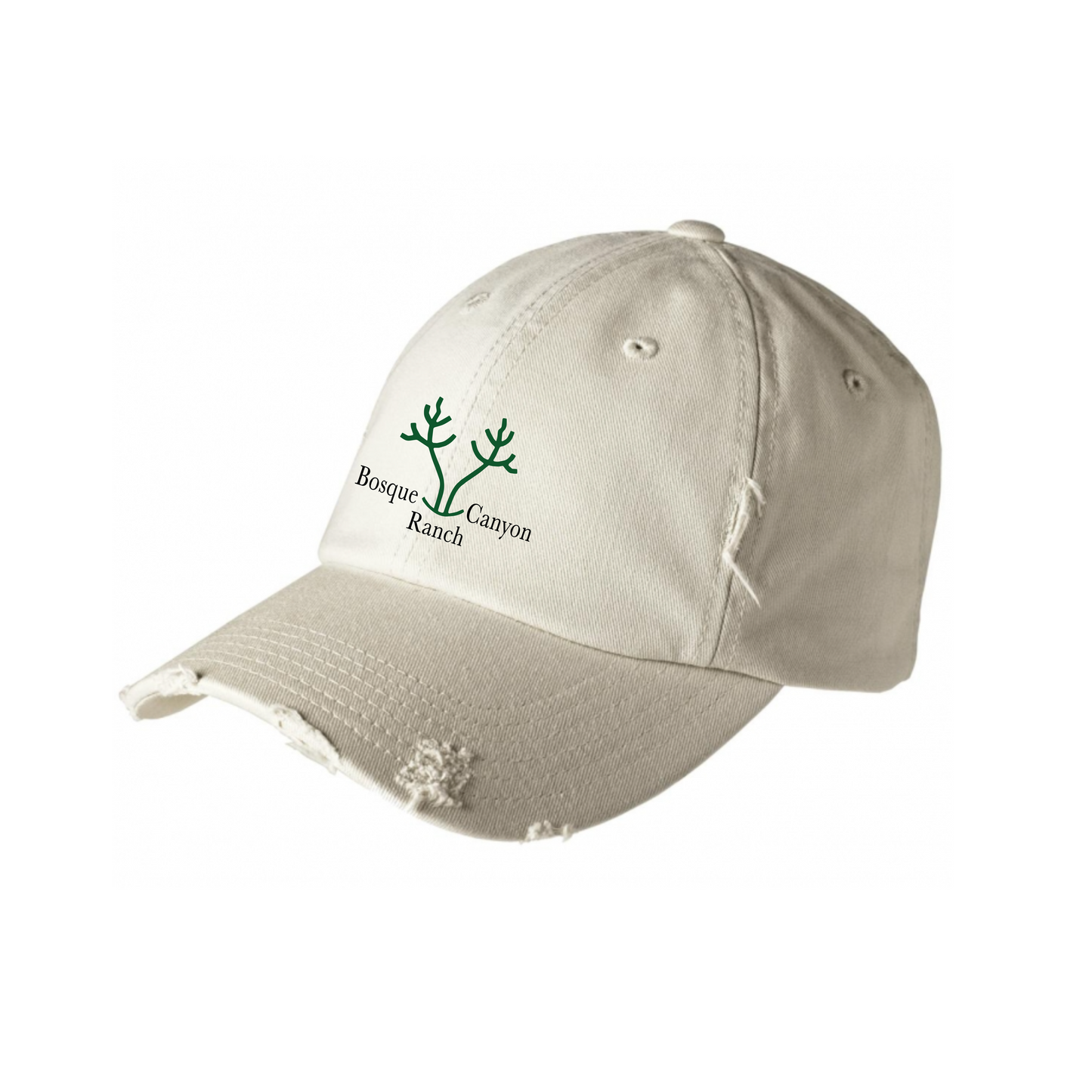 District Distressed Cap - Stone