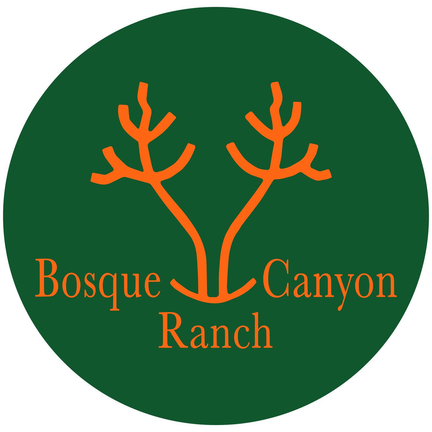 Bosque Canyon Ranch Sticker - Green