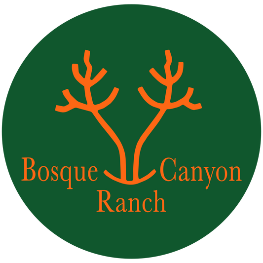 Bosque Canyon Ranch Sticker - Green