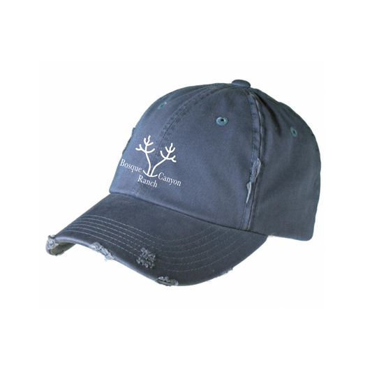 District Distressed Cap - Scotland Blue